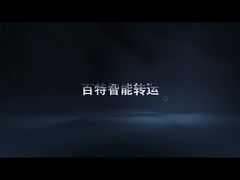 Precision and Reliability: Rail-Bound Transfer Cart System in Action